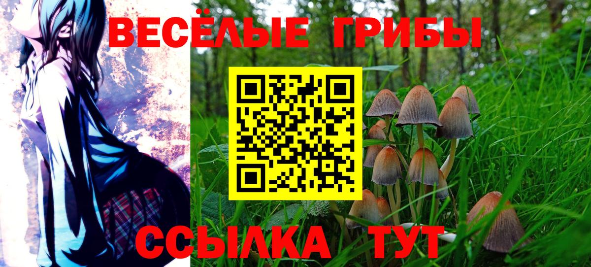 Магнитогорск  Галлюциногенные грибы ЛСД  Вход с VPN 