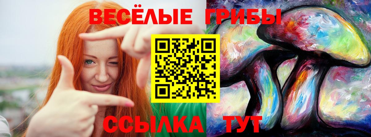 Псилоцибиновые грибы Magic Shrooms Магнитогорск